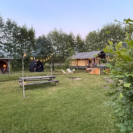The Nest * Heelweg